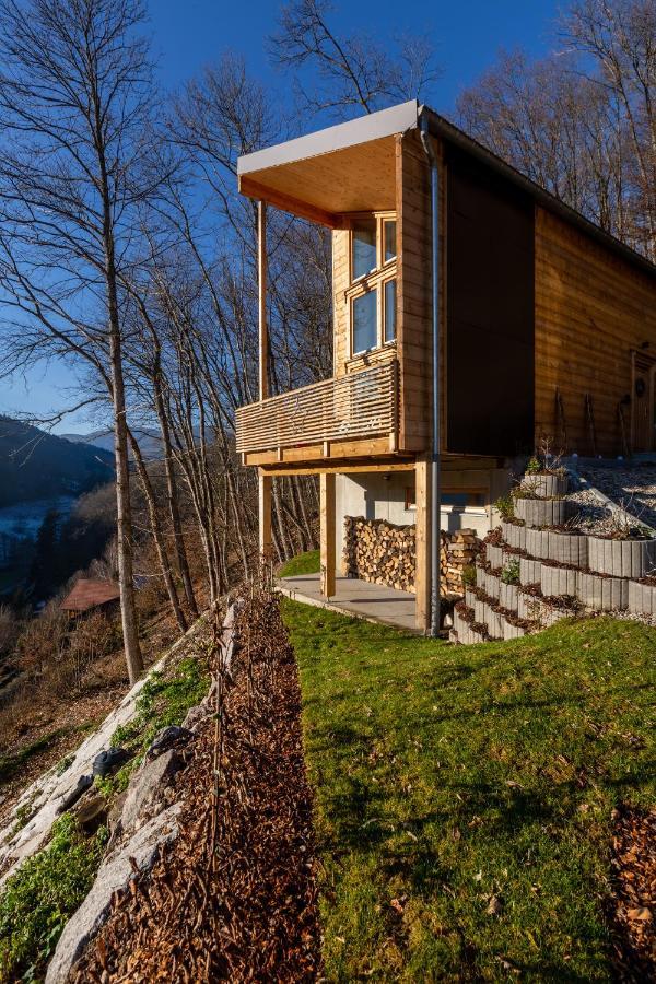 Le Chalet Des Bois Lalaye Экстерьер фото